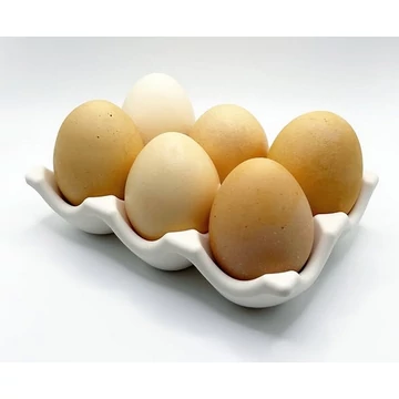 Tojástartó - 6 db-os