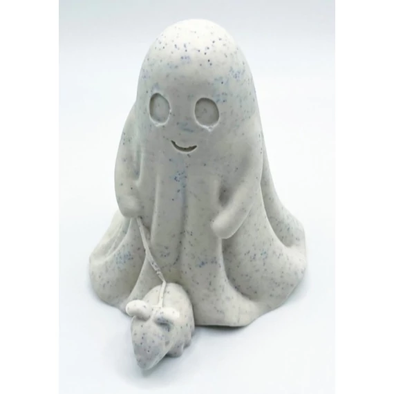 Szellemfiú kutyával